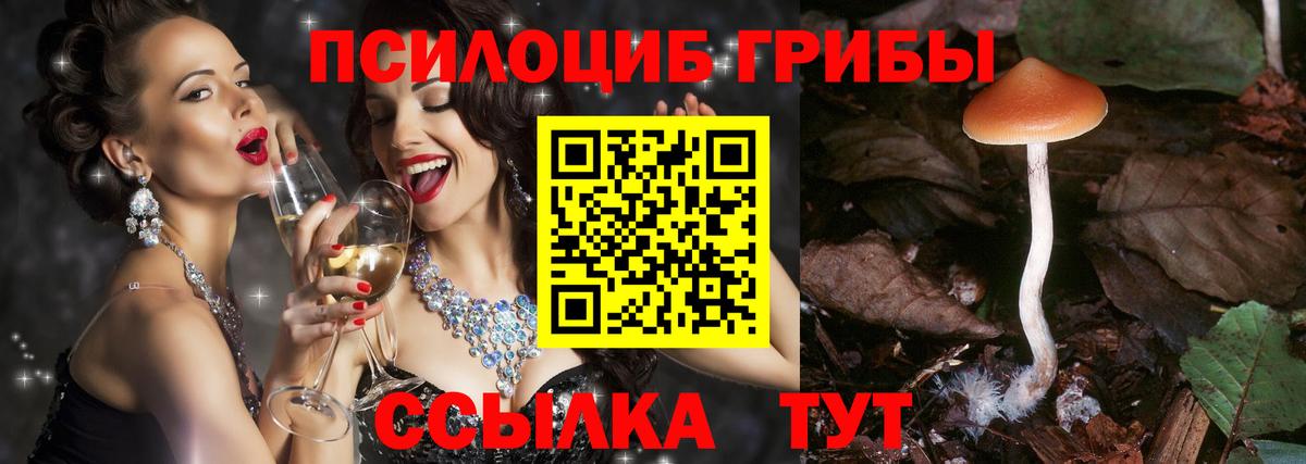 Шарыпово  Псилоцибиновые грибы Psilocybe  как найти закладки  Вход с VPN  Галлюциногенные грибы GOLDEN TEACHER 
